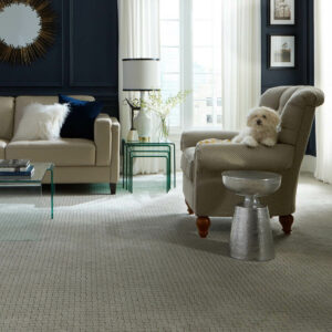 dog sitting on chair in living room with textured carpet | Select Floors