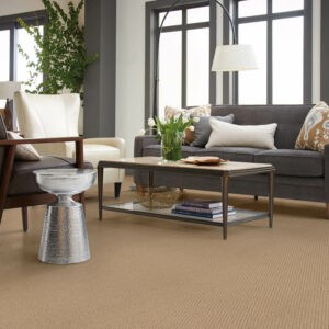 neutral carpet in living room | Select Floors