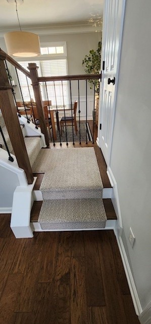 Stairs carpet flooring | Select Floors